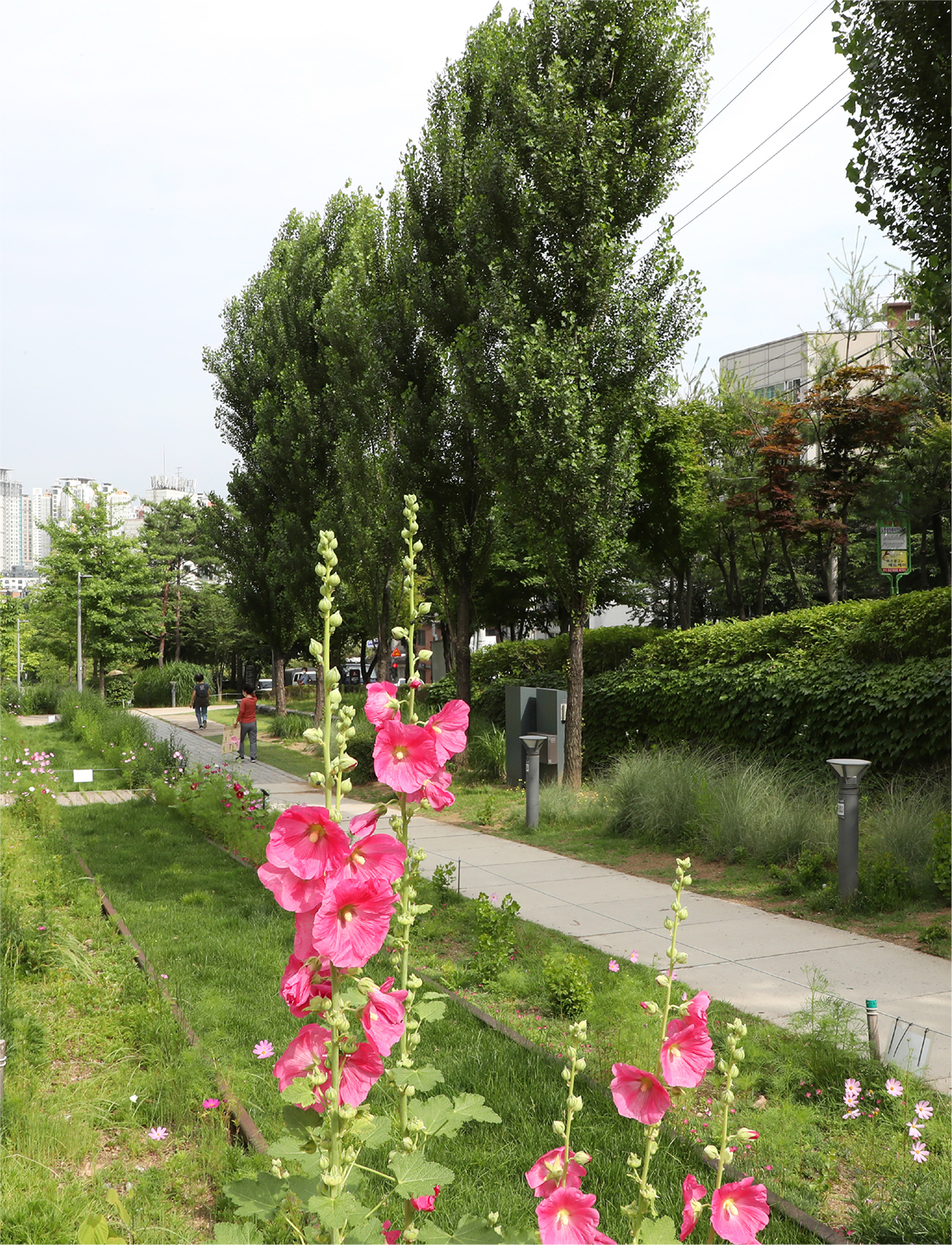 생태학교 숲 1