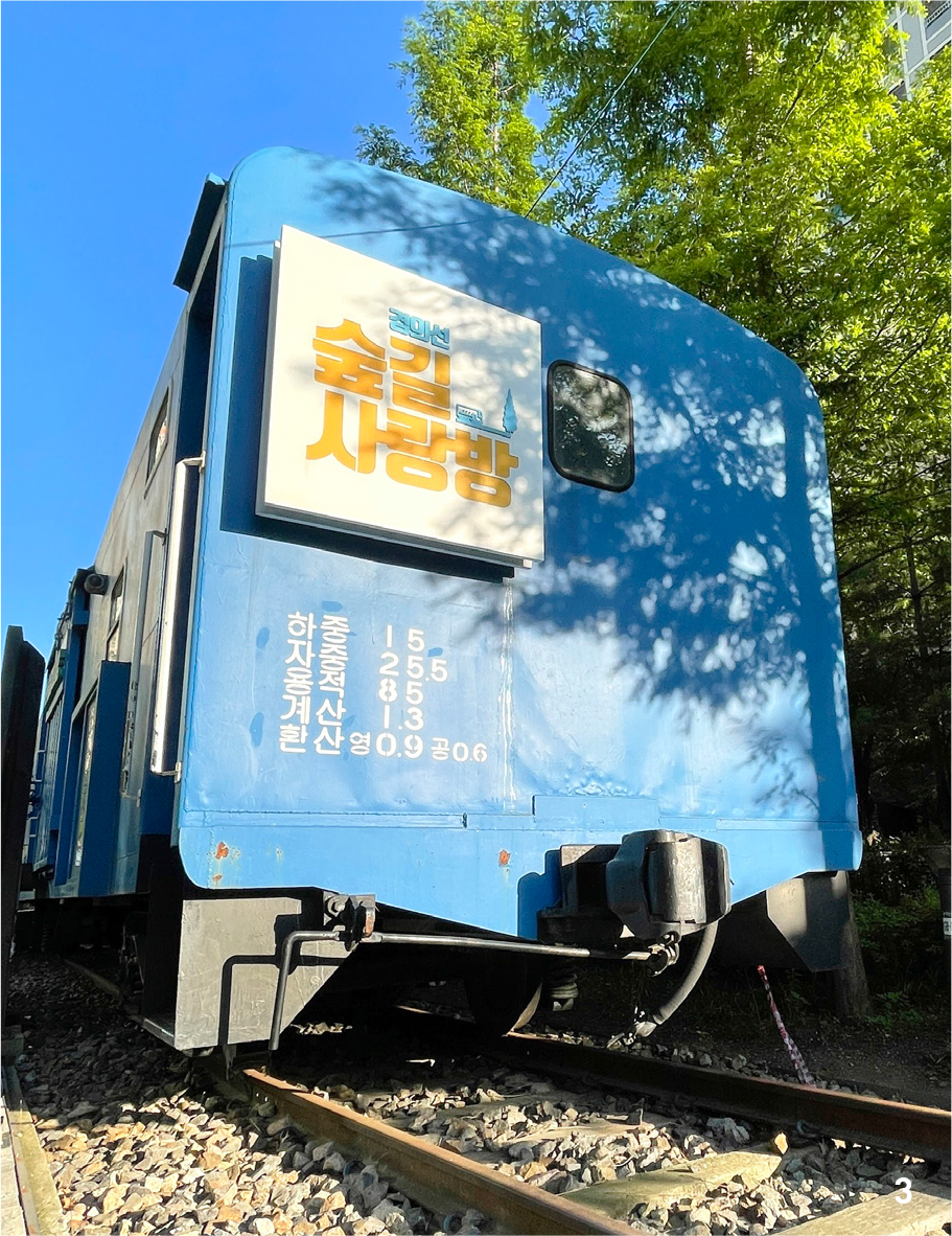 생태학교 숲 1
